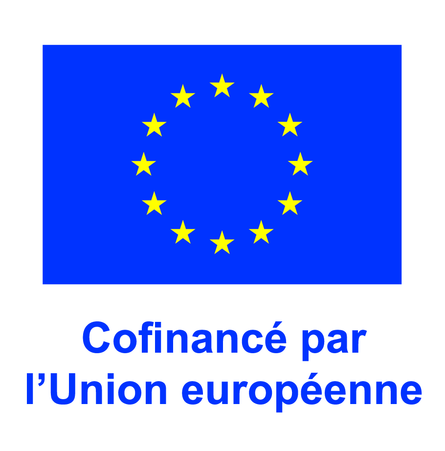 Logo - FR V Cofinancé par l’Union européenne_POS.jpg
