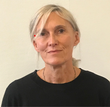 Sylvie Labussiere