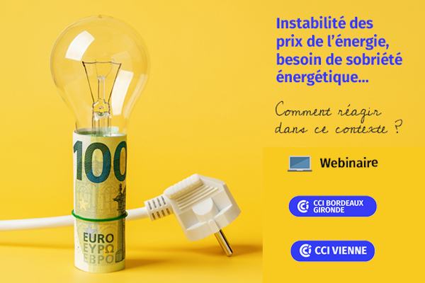 Transition Energétique : Faire face à la flambée de l'énergie 17.11.2022
