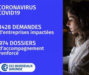 CCI Bordeaux Gironde, Cellule de crise