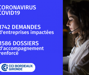 CCI Bordeaux gironde cellule de crise covid 19