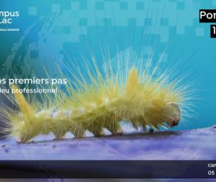 Journées Portes Ouvertes au Campus du Lac, le 10 septembre