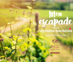 Mon escapade dans le vignoble bordelais, été 2020