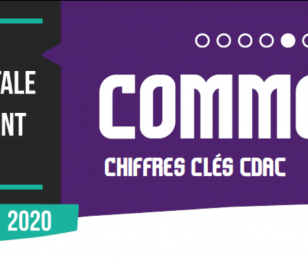 bilan CDAC 2020