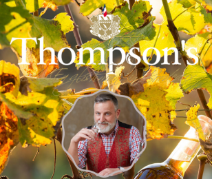 Chez Thomson's, le raisin bordelais n’a pas connu la crise en 2020