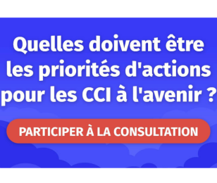 Quelles doivent être les priorités d'actions pour les CCI à l'avenir ?