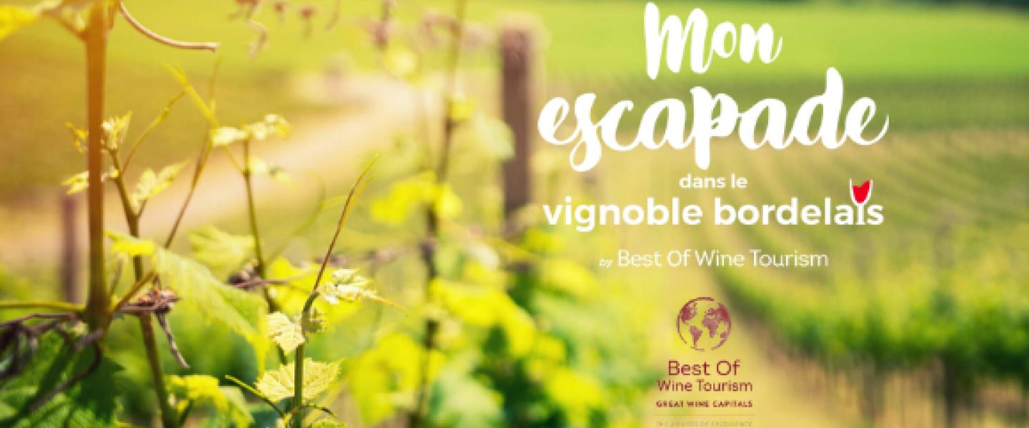 Mon escapade dans le vignoble bordelais, été 2020