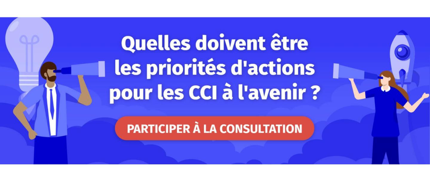Quelles doivent être les priorités d'actions pour les CCI à l'avenir ?