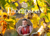 Chez Thomson's, le raisin bordelais n’a pas connu la crise en 2020