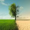 Conseil : S’adapter aux impacts du changement climatique